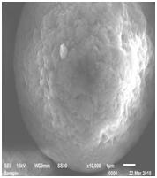 凯发·k8(中国游)官方网站